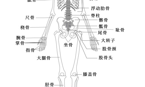 小孩拔牙后吃什么补充营养-儿童拔牙后吃什么食物好网- 小孩拔完牙齿后饮食要注意些什么知识,分享儿童拔牙齿后要注意什么