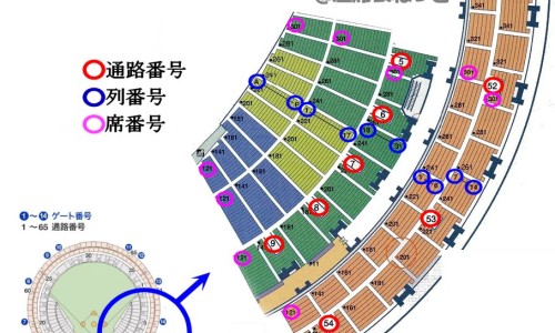 儿童拔牙齿后要注意什么-儿童拔牙后吃什么食物好网- 小孩拔完牙齿后饮食要注意些什么知识,分享儿童拔牙齿后要注意什么